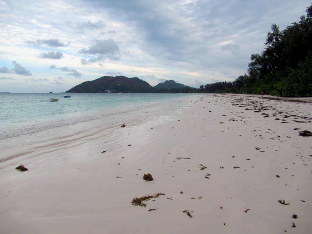 Côte d'Or (Anse Volbert), Seszele, zdjęcie 3