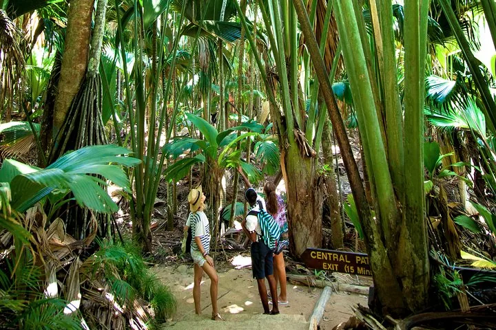 Vallée de Mai, spacer po lesie coco de mer, zdjęcie 3