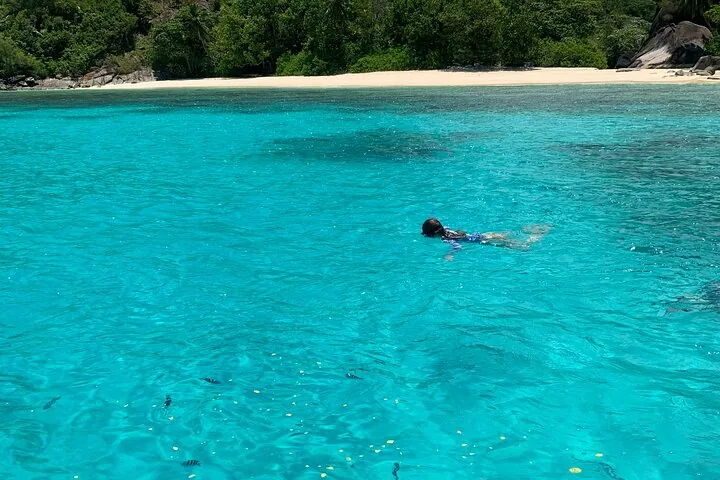 Reef safari, snorkeling przy Anse Major i Baie Ternay, zdjęcie 3
