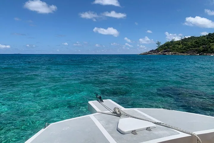 Reef safari, snorkeling przy Anse Major i Baie Ternay, zdjęcie 5