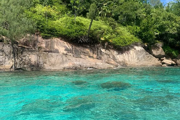 Reef safari, snorkeling przy Anse Major i Baie Ternay, zdjęcie 6